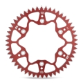 45376_23404