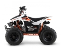 Quad Kayo AY70
