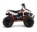 Quad Kayo AY70
