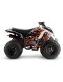 quad-kayo-a150.jpg
