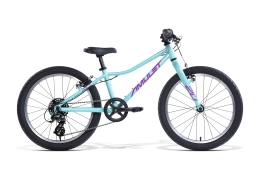 Rower Dziecięcy Amulet Tomcat 20 Celeste Blue/Purple 2026