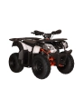 quad-kayo-au150 (1).jpg