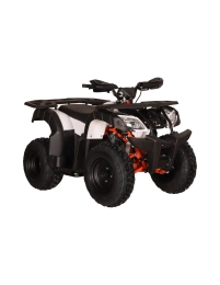 Quad Kayo AU150