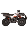 quad-kayo-au150.jpg