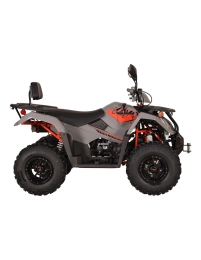Quad KAYO AU300 T3B